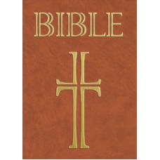 Bible - ekumenický překlad (s DT)